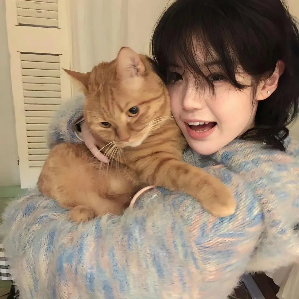 这个杀手不太冷静